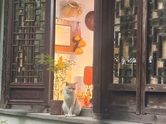 -惠山古镇·寄畅园