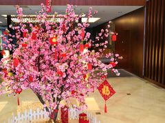 -上海银珠苑度假村-地面停车场