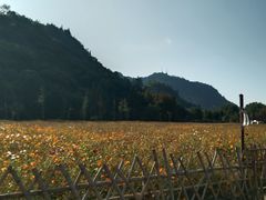 -花溪公园