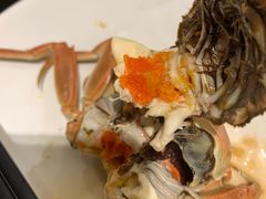 大闸蟹-蓝钻·国际美食海鲜自助百汇(西直门店)