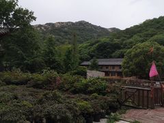 -木兰云雾山
