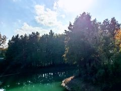 -贡湖湾湿地公园