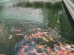 -番禺宾馆丽苑厅