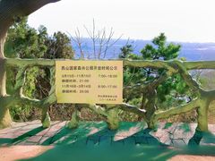 -北京西山国家森林公园