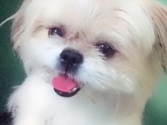 -东方动物医院·宠保定点·骨科·转诊中心(春城路·昆明站分院)