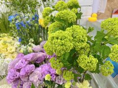 -Flower in(密渡桥店)