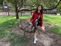 -布里斯班南岸公园