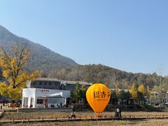 -千年银杏谷文化旅游区