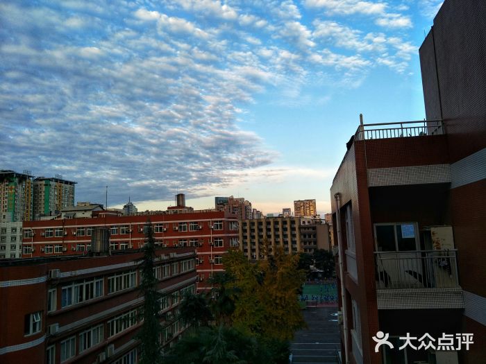 北京师范大学成都实验中学图片