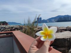 -鲤鱼门海鲜街