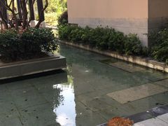 -上海崇明金茂凯悦酒店