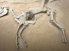 -洛阳周王城天子驾六博物馆