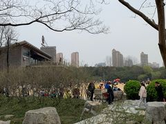 -青枫公园