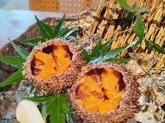 -人间酒暖·Go blanc·烧鸟·深夜食堂(陆家嘴店)