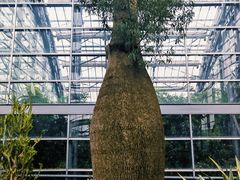 -南山植物园