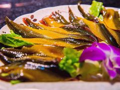 活杀鱼鳅-宽田火锅(几江荣华店)