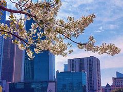 -西北湖绿化广场