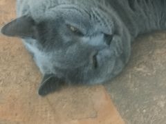 -Me Coffee下午茶艺术空间