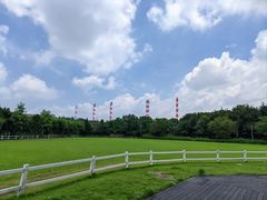 -平湖九龙山旅游度假区