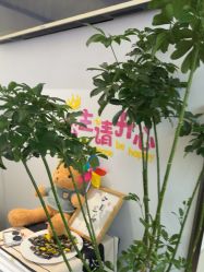 -MB·nail美甲美睫