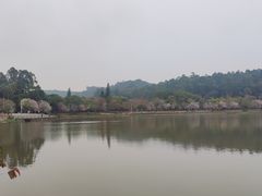 -南国桃园旅游度假区