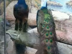 -福州罗源湾海洋世界旅游区