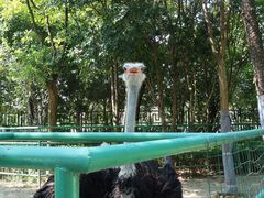 -香宫中餐厅 · 桂林香格里拉