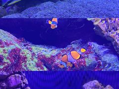 -成都浩海立方海洋公园