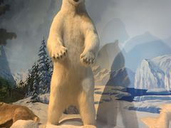 -陕西自然博物馆