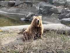 -宁波野生动物园