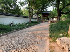 -汇龙潭