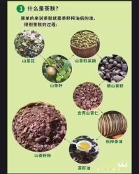 -Bollins波林丝•专研护发中心