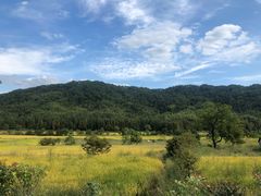 -塔川景区