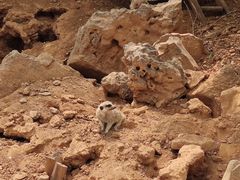 -石家庄市动物园