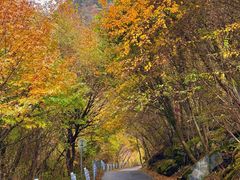 -叠溪松坪沟景区