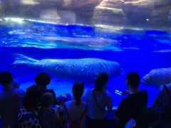 -皇家极地海洋世界-售票处