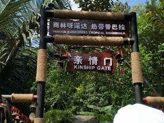 -呀诺达热带雨林