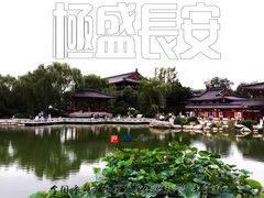 -华清宫景区