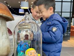 -奔驰上海利星(七宝店)