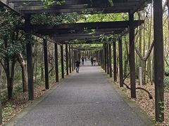 -九龙潭景区