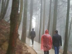 -井冈山风景名胜区-黄洋界