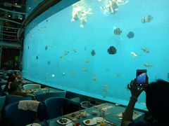-瑞德姆美人鱼海底演艺主题餐厅(亚龙湾店)