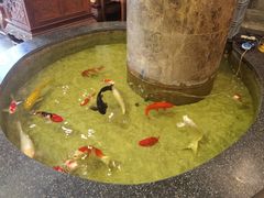 -古莲·影院足道·按摩SPA(水上温泉店)