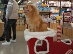 -永旺梦乐城(金银潭店)