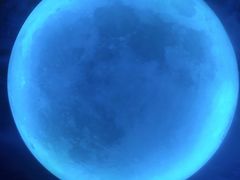 -天津梵高星空艺术馆(天河城旗舰店)