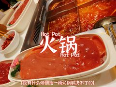 -海底捞大排档火锅(打浦路店)