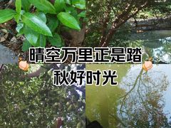 -中山公园