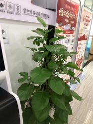 -悟空祛痘·亚健康皮肤管理中心