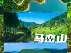 -乌兰布统草原