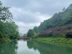 -桃花岭景区